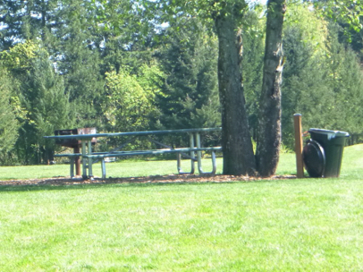 Picnic table, grill and trash can near Rhododendron Garden